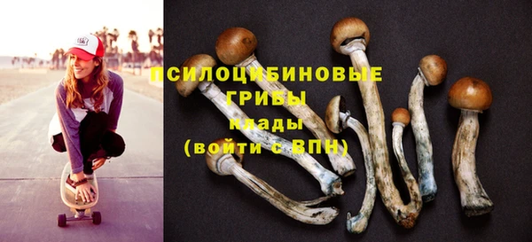 каннабис Арсеньев